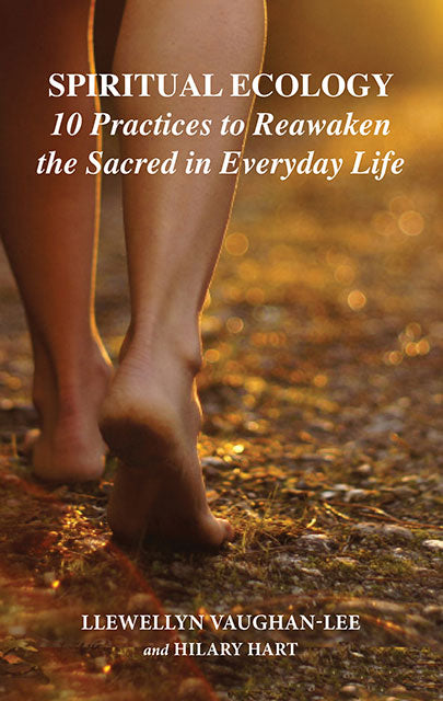 Spiritual Ecology