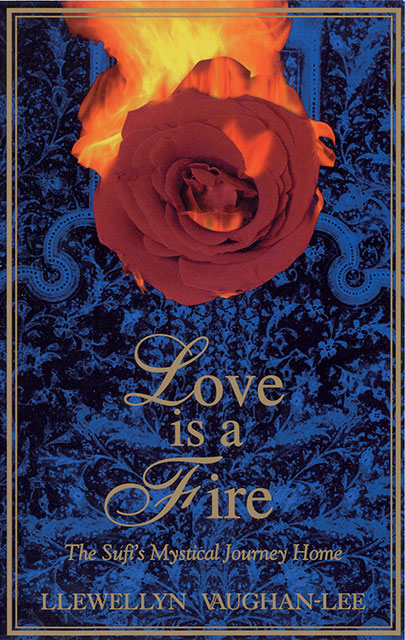 Love is a Fire